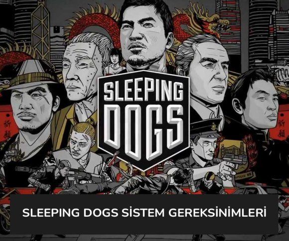 Sleeping Dogs Sistem Gereksinimleri