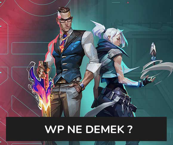 Wp Ne Demek ?